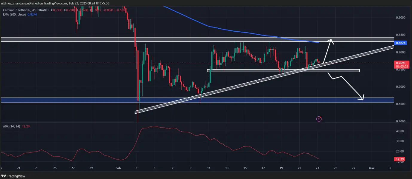 CARDANO