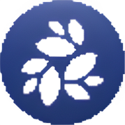 قیمت ارز ان کی ان