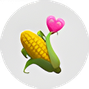 خرید ارز دیجیتال CORN