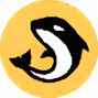قیمت ارز اورسا