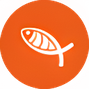 قیمت ارز ساشیمی