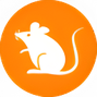 قیمت ارز رتس