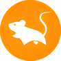 قیمت ارز مایس