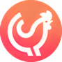 قیمت ارز چیکن کوین
