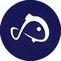 قیمت ارز کویی