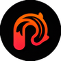 قیمت ارز پوندو