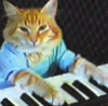Keyboard Cat