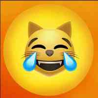 Laughing Crying Cat