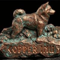 copper inu