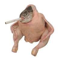 Smoking Chicken Fish