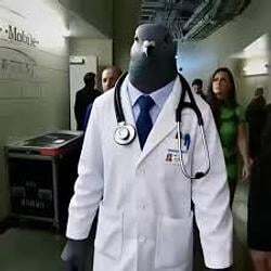 Pigeon Doctor 