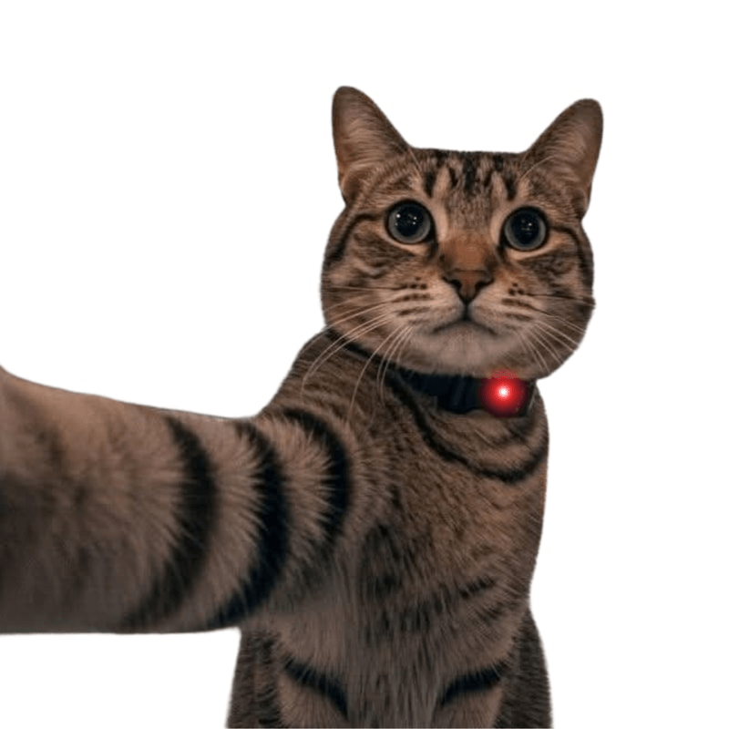 OSCAR