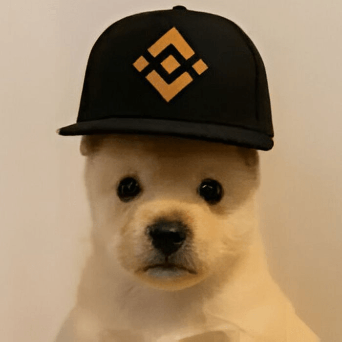 PUP