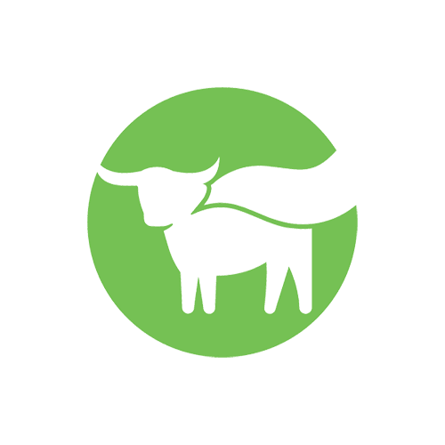 BEYOND MEAT INC