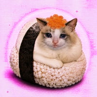 Sushi Cat