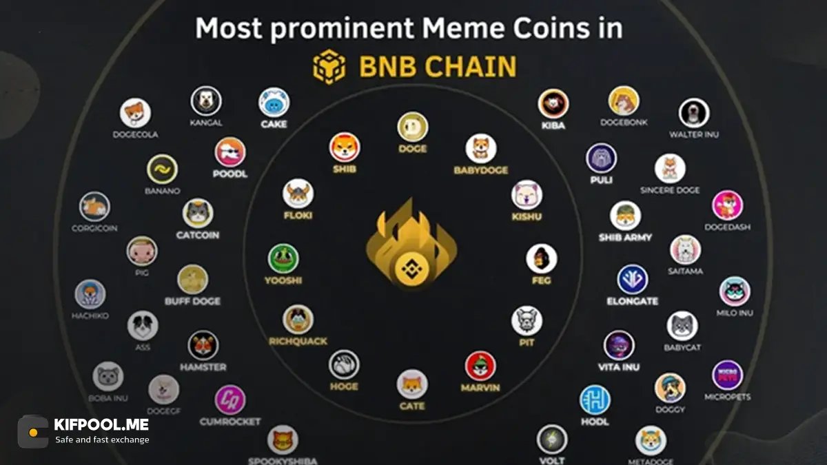 ساخت میم کوین روی شبکه BNB | نکاتی که باید قبل از ساخت میم کوین روی شبکه بی ان بی بدانید | صرافی ارز دیجیتال کیف پول من